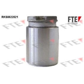 Kolben, Bremssattel 9313182 von FTE günstig für 20,06 € online kaufen