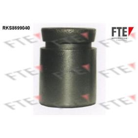 Comprar Émbolo, pinza del freno de FTE 9313498 a bajo precio de 15,08 €