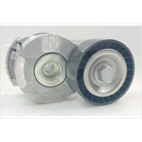 Spannrolle, Keilrippenriemen T0705 von HUTCHINSON günstig für 66,20 € online kaufen