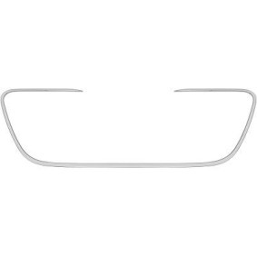 Compre Friso de para-choques de DIEDERICHS online para 508 I (8D_) Sedan a preços moderados