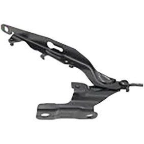 Compre Dobradiça, capot do motor da DIEDERICHS 7675018 a um preço baixo por 52,24 €