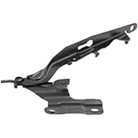 Compre Dobradiça, capot do motor da DIEDERICHS 7675019 a um preço baixo por 52,24 €