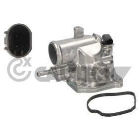 Kühlwasserthermostat 770425 von CAUTEX günstig für 55,12 € online kaufen