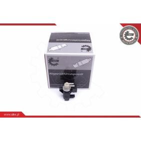 Acquista Convertitore pressione, Controllo gas scarico da ESEN SKV 14SKV915 a buon mercato per soli 55,35 €
