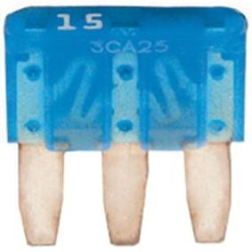 Sicherung 17343 von RESTAGRAF günstig für 6,80 € online kaufen