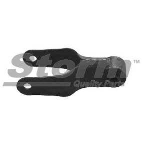 Compre Suporte, motor da STORM QUALITY PARTS F11599 a um preço baixo por 23,13 €