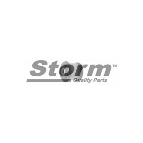Köp Upphängning, axelstomme av STORM QUALITY PARTS F2289 till det låga priset 217,86 kr