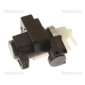 Druckwandler, Abgassteuerung 8813 25043 von TRISCAN günstig für 77,64 € online kaufen