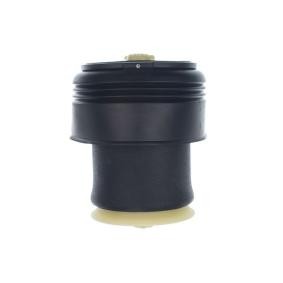 Compre Mola pneumática da DENCKERMANN DSA118G a um preço baixo por 116,70 €
