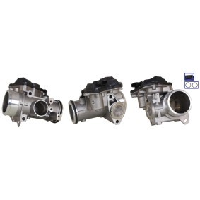 AGR-Ventil 73-0445 von ELSTOCK günstig für 286,52 € online kaufen