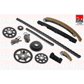 Steuerkettensatz TCK295NG von FAI AutoParts günstig für 320,97 € online kaufen