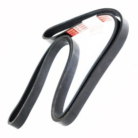 Keilrippenriemen 6PK1720-PCS-MS von MASTER-SPORT günstig für 15,75 € online kaufen