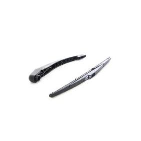 Compre Escova traseira da BSG BSG 30-995-055 a um preço baixo por 41,04 €