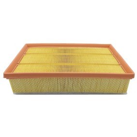 Acquista Filtro aria da FLEETGUARD AF4354 a buon mercato per soli 41,66 €