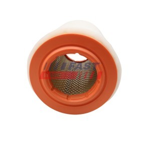 Innenraumfilter FT37302PM von FAST günstig für 18,36 € online kaufen