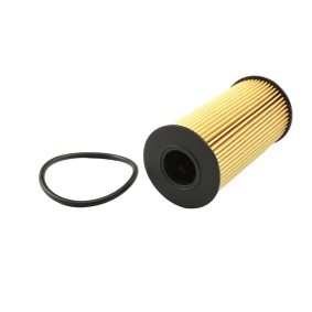 Acquista Filtro olio da FAST online per NV250 Van (X61) a prezzi moderati