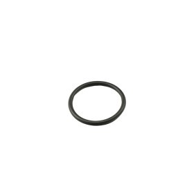 Acquista Guarnizione, Termostato da FAST FT49917 a buon mercato per soli 3,94 €