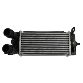Acquista Intercooler da FAST FT55587 a buon mercato per soli 114,40 €