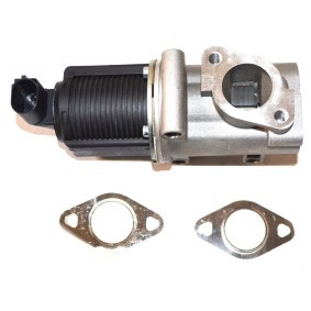 Compre Válvula EGR da FAST FT60227 a um preço baixo por 82,11 €