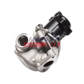 Compre Válvula EGR da FAST FT60240 a um preço baixo por 73,08 €