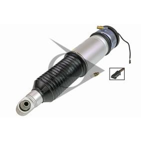 Compre Amortecedor pneumático da AIC 71102 a um preço baixo por 1565,37 €