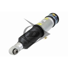 Compre Amortecedor pneumático da AIC 71104 a um preço baixo por 1207,57 €