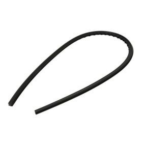 Achetez des Joint d'étanchéité, pare-brise BLIC 5703-04-1676100P à prix pour 12,32 €