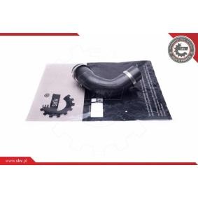 Compre Tubo flexível do ar de sobrealimentação da ESEN SKV 43SKV495 a um preço baixo por 40,09 €
