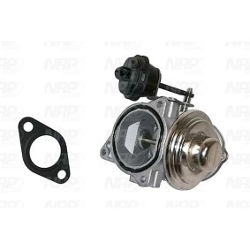 AGR-Ventil CPA13005 von NAP carparts günstig für 178,57 € online kaufen
