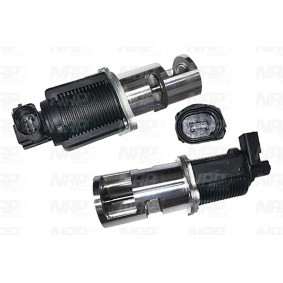 AGR-Ventil für NISSAN von NAP carparts