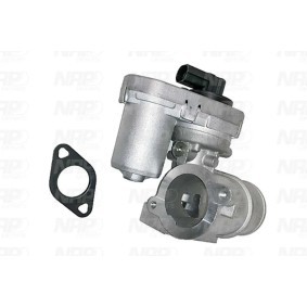 AGR-Ventil CPA13069 von NAP carparts günstig für 281,21 € online kaufen