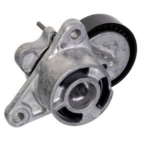 Acquista Tendicinghia, cinghia poly-v da FEBI BILSTEIN online per GLE (W167) a prezzi moderati