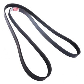 Keilrippenriemen 6PK1895-PCS-MS von MASTER-SPORT günstig für 14,55 € online kaufen