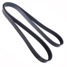 Köp Multirem av MASTER-SPORT 7PK1705-PCS-MS till det låga priset 234,91 kr