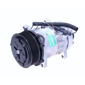 Comprar Compresor, aire acondicionado de BV PSH 090.685.013.907 a bajo precio de 309,86 €