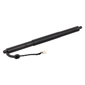 Acquista Bagagliaio da FEBI BILSTEIN online per Q5 SUV Sportback (80A) a prezzi moderati
