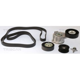 Compre Jogo de correias trapezoidais estriadas da TRISCAN 8642 10043 a um preço baixo por 258,06 €