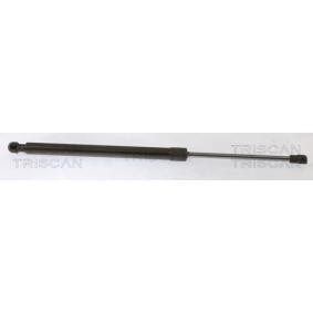 Heckklappendämpfer 8710 40244 von TRISCAN günstig für 20,38 € online kaufen