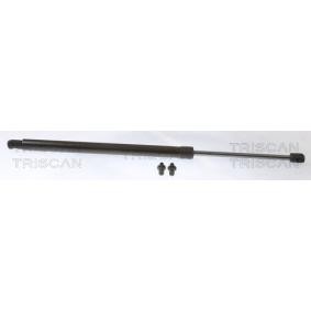 Heckklappendämpfer 8710 40245 von TRISCAN günstig für 21,01 € online kaufen