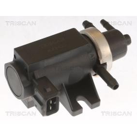 Ladedruckregelventil des Herstellers TRISCAN - Originalware Artikelnummer: 8813 10037
