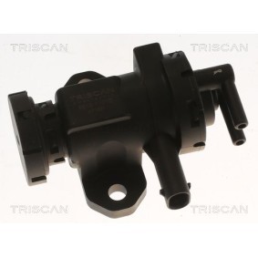 Druckwandler, Turbolader für MINI von TRISCAN