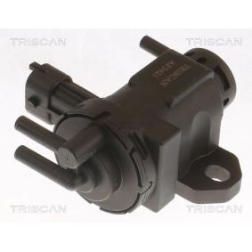 Ladedruckregelventil des Herstellers TRISCAN - Originalware Artikelnummer: 8813 24087