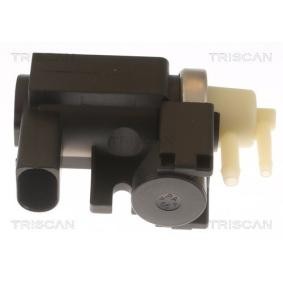 Ladedruckregelventil des Herstellers TRISCAN - Originalware Artikelnummer: 8813 27004