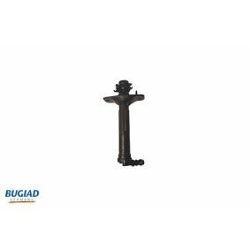 Acquista Ugello acqua lavaggio, Lavafari da BUGIAD BHW16505 a buon mercato per soli 12,73 €