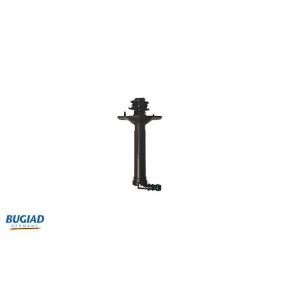 Acquista Ugello acqua lavaggio, Lavafari da BUGIAD BHW16506 a buon mercato per soli 12,73 €