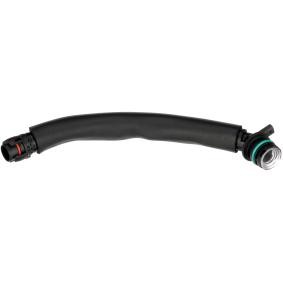 Compre Tubo flexível, respiro do cárter da cambota da RAPRO R191066 a um preço baixo por 35,33 €