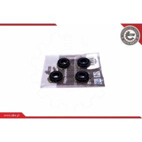 Comprar Kit de reparación, módulo de tubo de aspiración de ESEN SKV 96SKV401 a bajo precio de 26,60 €