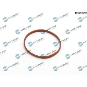 Compre Junta, apoio da válvula de borboleta da DR.MOTOR AUTOMOTIVE DRM01319 a um preço baixo por 7,18 €