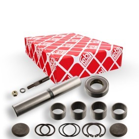 Acquista Kit riparazione, Perno fuso a snodo da FEBI BILSTEIN 08803 a buon mercato per soli 67,43 €