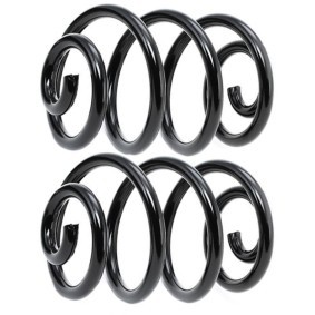 Fahrwerksfeder 188C1997 von RIDEX günstig für 61,80 € online kaufen